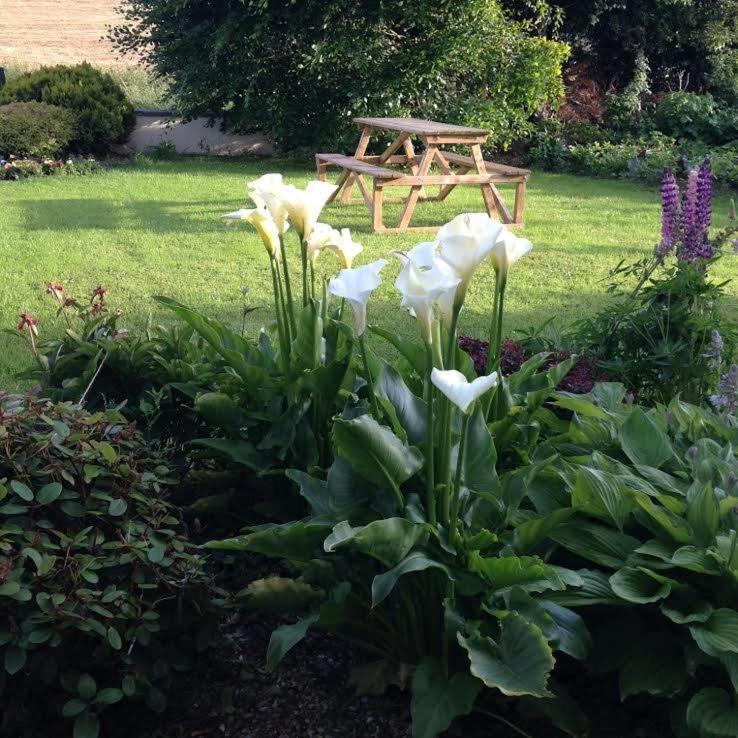 Bed and Breakfast Hillview House Кутхилл Экстерьер фото